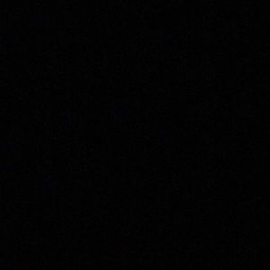 Meet your Posher, Nefertiti